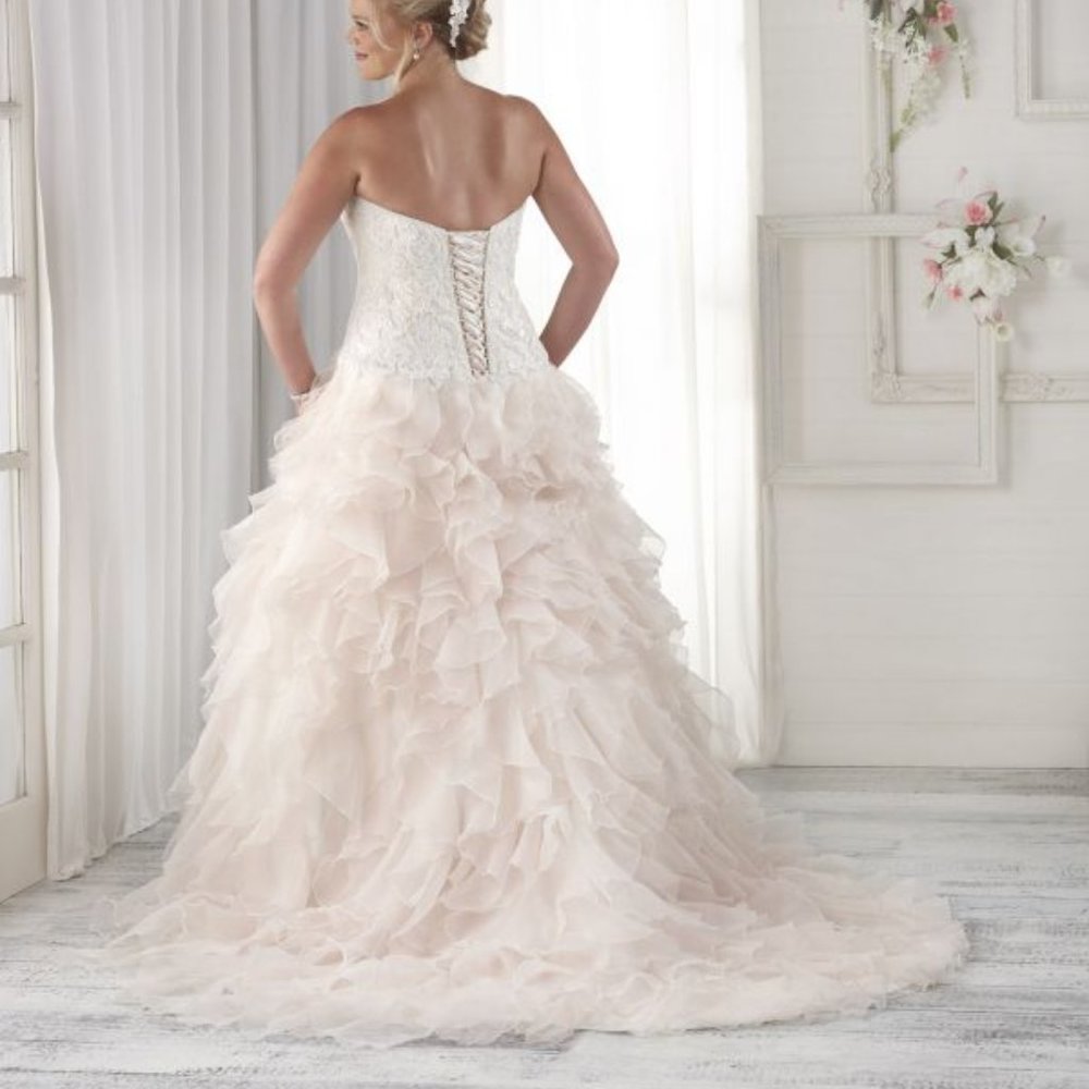 Fun Plus size wedding dress
